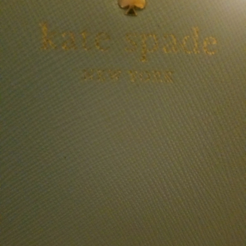 Light blue Kate Spade wallet